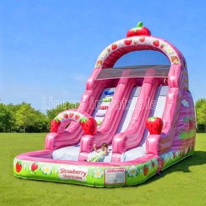 Sweet strawberries inflatable Dry/Wet Inflatable Slide